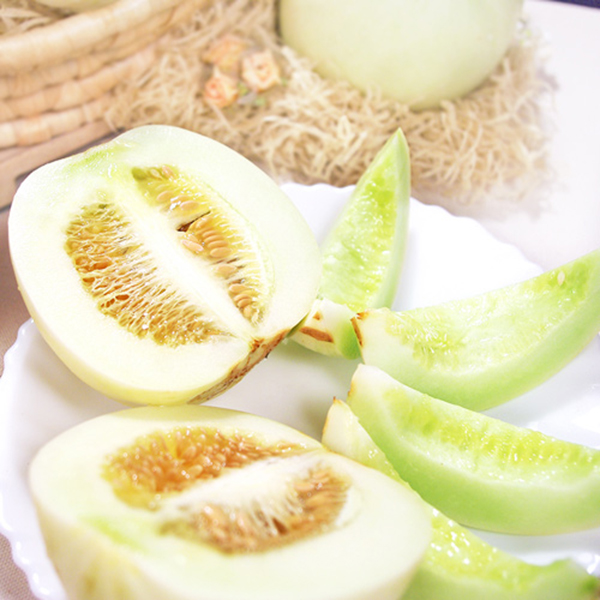 《超人氣》溫室栽培 - 美濃吊瓜