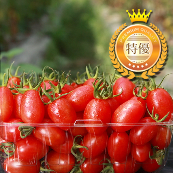 【金鑽級-特優賞】溫室栽培 - 紅寶石牛奶蕃茄